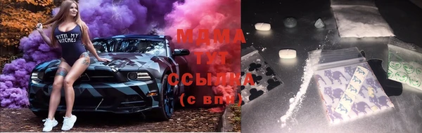 молекула духа Елабуга