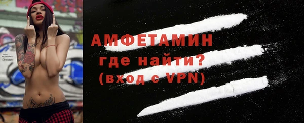 spice Дмитриев