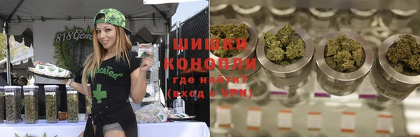 винт Ельня