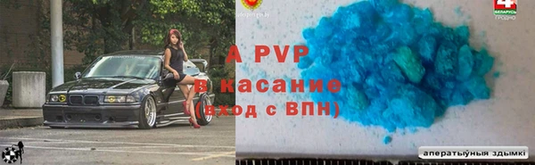 винт Ельня