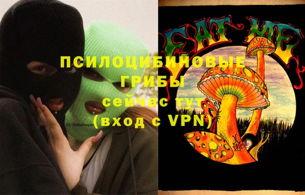 эйфоретик Дмитровск