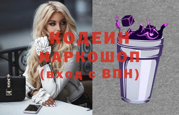 spice Дмитриев