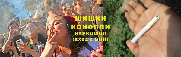 молекула духа Елабуга