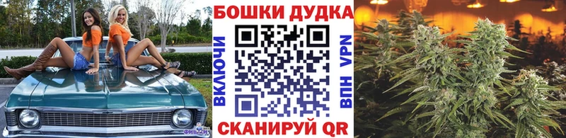 купить наркотики цена  Яранск  Марихуана OG Kush 